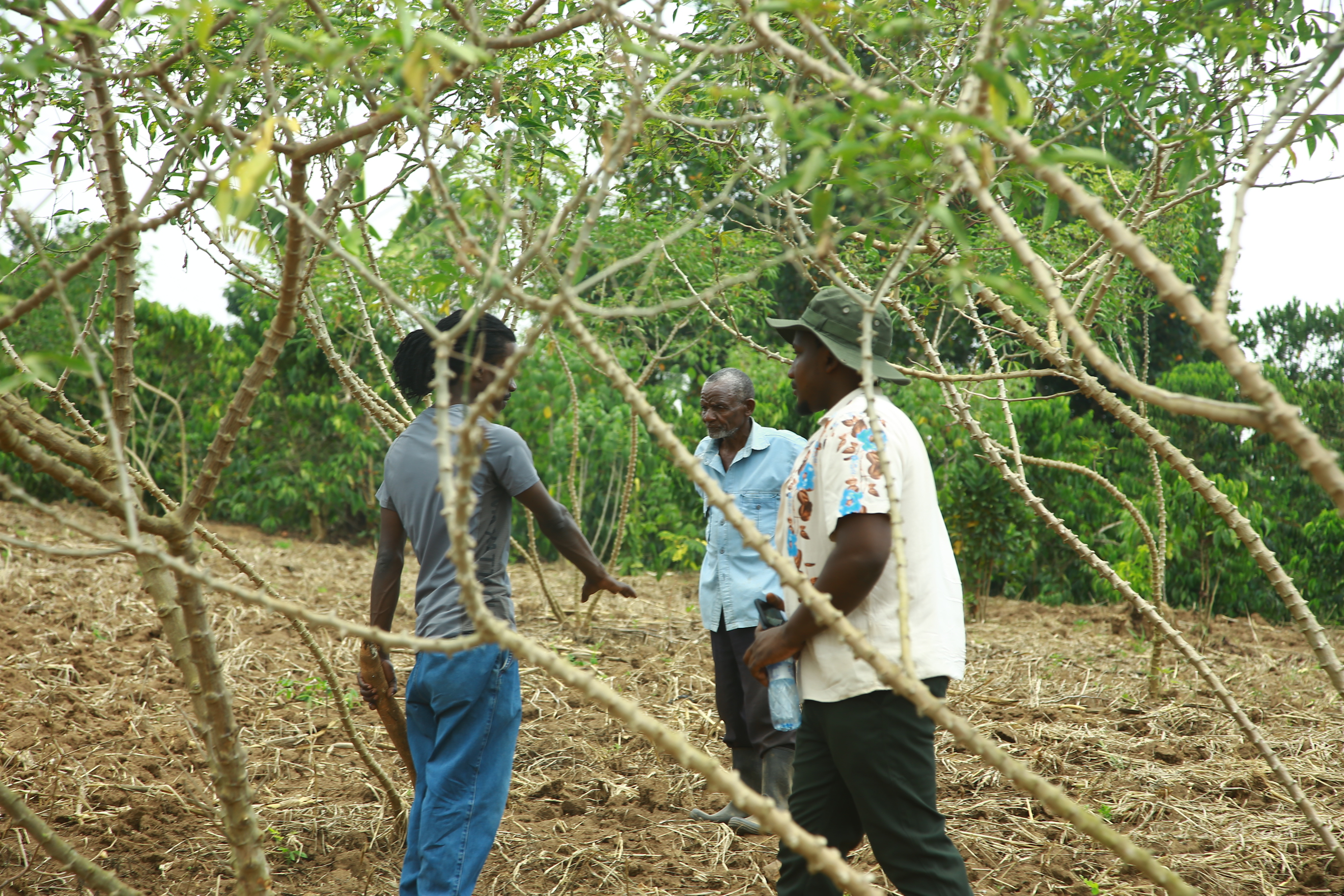 Community Farmers at the Fliptown Hub