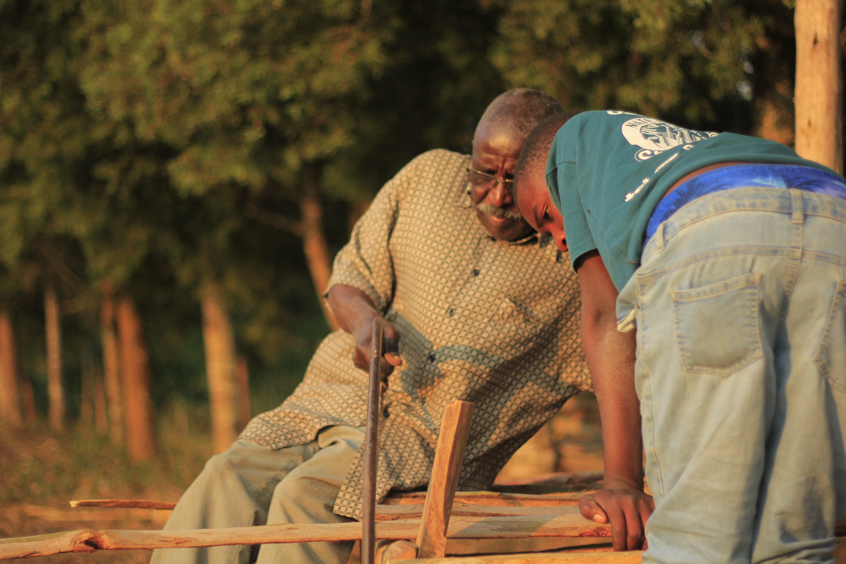 Youth planting trees